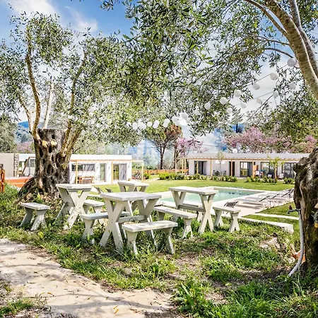 Kumquart Estate- Bergamot * Aspiotades