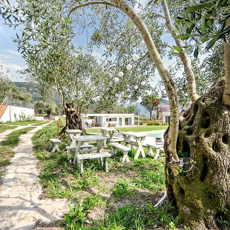 Domek letniskowy Kumquart Estate- Bergamot