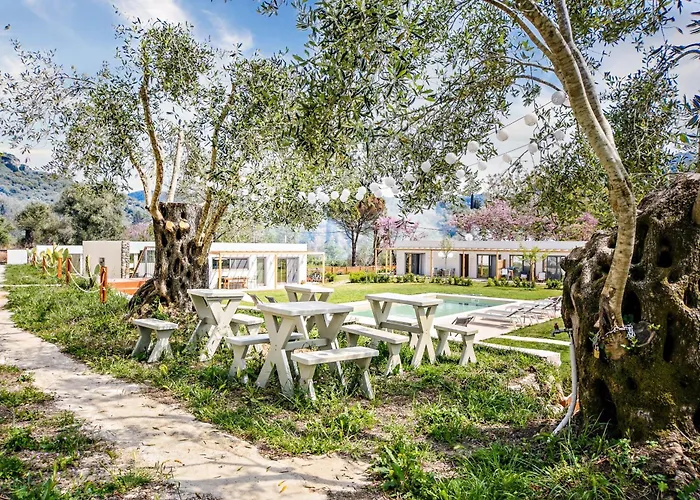 Kumquart Estate- Bergamot * Aspiotades