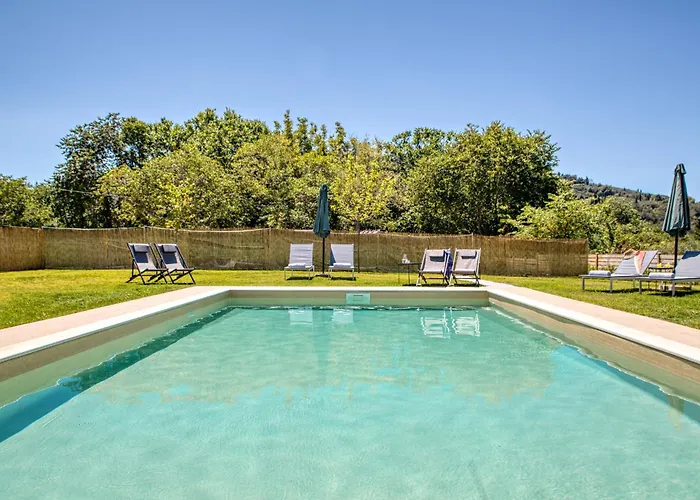 Lodge Kumquart Estate- Bergamot Aspiotades