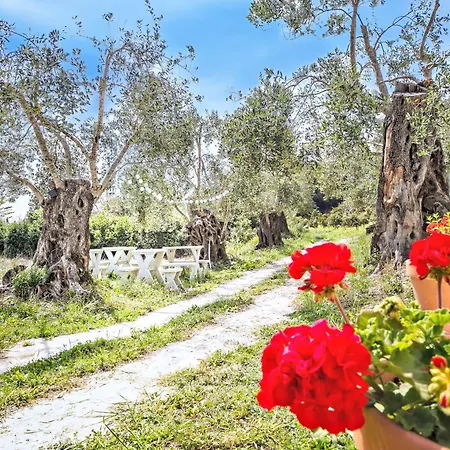 Lodge Kumquart Estate- Bergamot