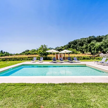 Lodge Kumquart Estate- Bergamot *